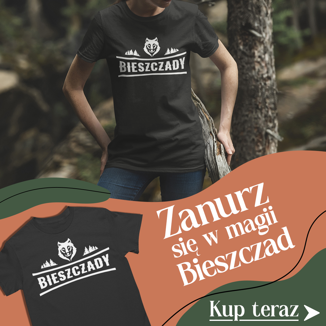 Koszulka z nadrukiem Biesczady
